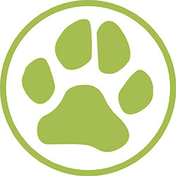 hundeschule-wHUNDerbar-07