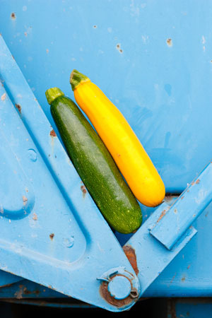 Bio-Zucchini