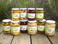 Pepis Biogurkerl